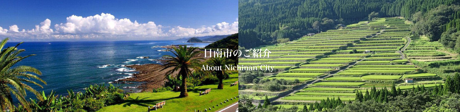 日南市について